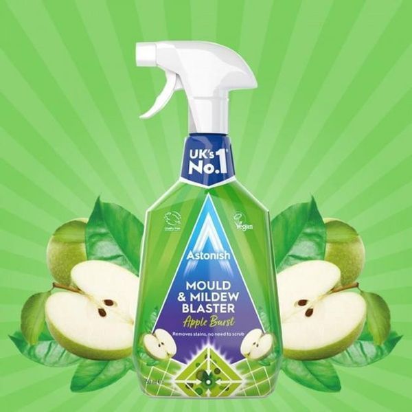 Засіб для видалення та попередження утворення цвілі Astonish Mould & Mildew Blaster 750 мл 048256299557 фото