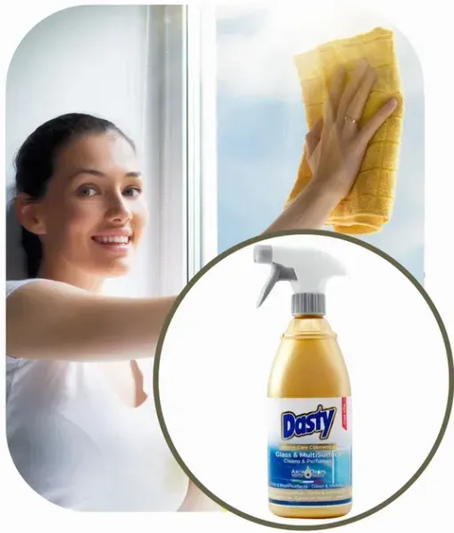 Універсальний спрей для скла та твердих поверхонь Dasty Professional  700 мл 8051566123087 фото